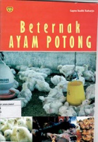 Beternak Ayam Potong