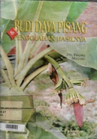 Budi Daya Pisang Dan Pengelolaan Hasilnya