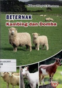 Beternak Kambing & Domba