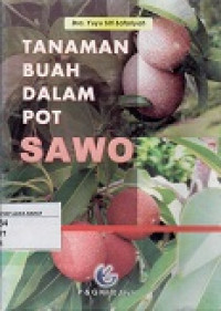 Tanaman Buah dalam Pot: Sawo